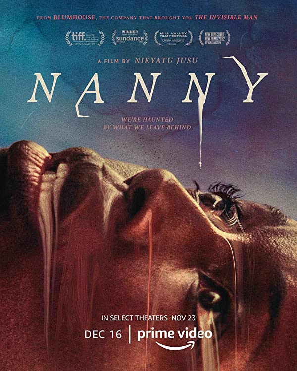 فیلم Nanny 2022 | پرستار بچه